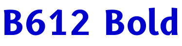 B612 Bold 字体